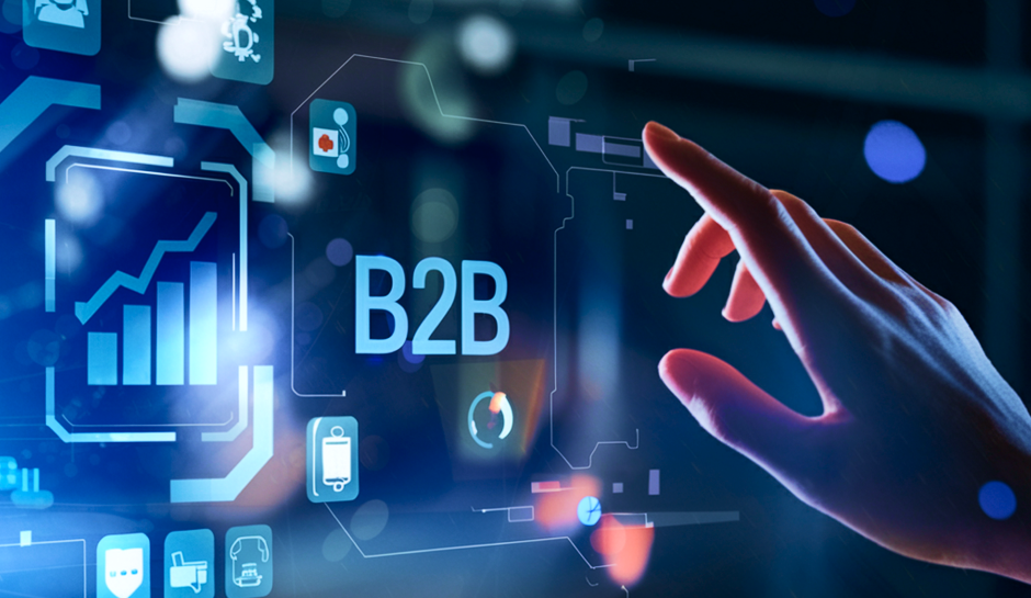 b2b data enrichment software